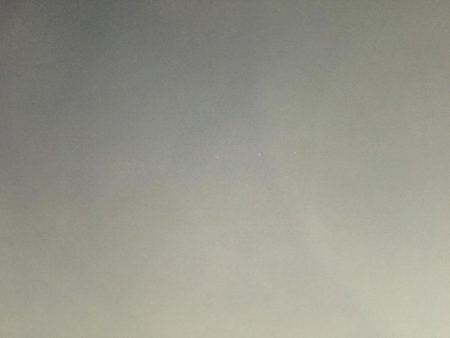 アオリイカは、どこへ