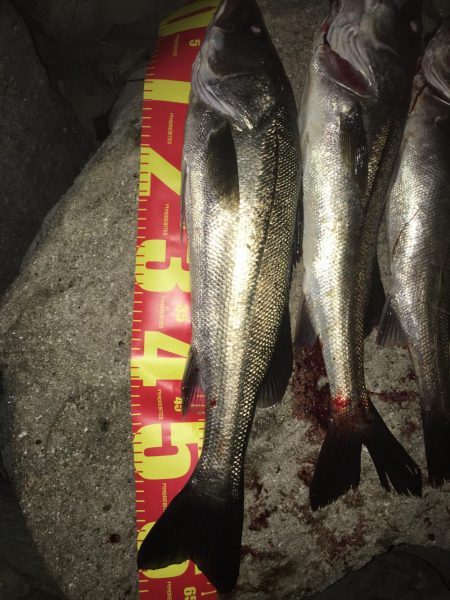 サイズがなかなか(・・;)