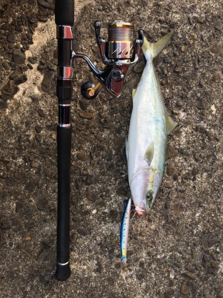 日和佐赤灯台 ハマチ 47cm