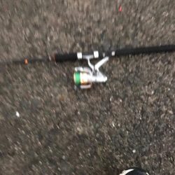 タチウオゲット！