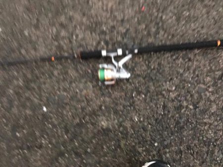 タチウオゲット！