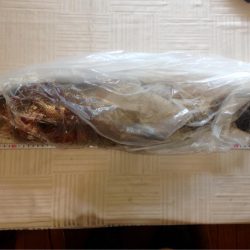 シーバスに感謝