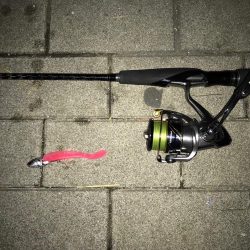 濁り。引き続きシーバス