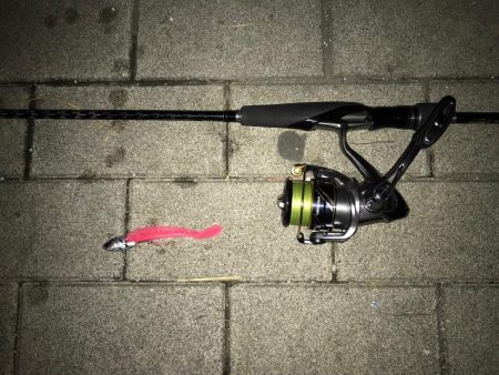 濁り。引き続きシーバス