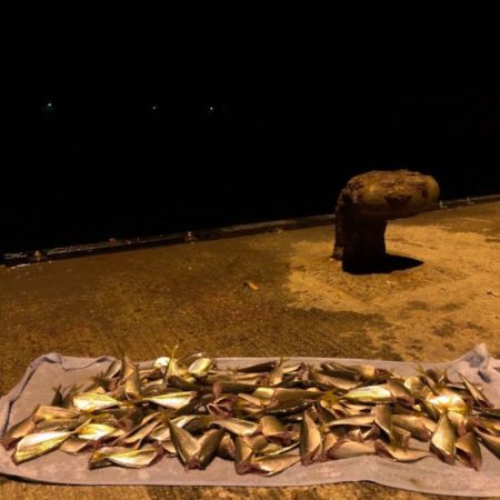 数えるだけでも一苦労