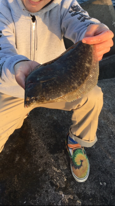 ヒラメ38cm