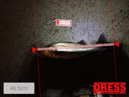 カタクチスーパーボイル！