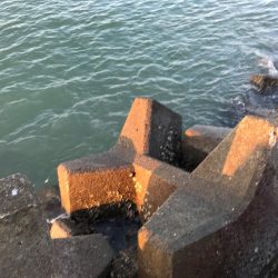 アタリはあるが…