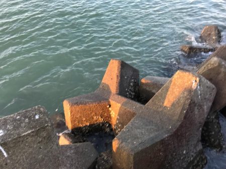 アタリはあるが…