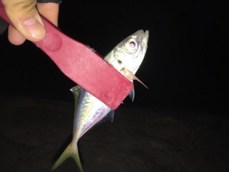 昨日のリベンジ達成