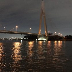 台風前ワインド