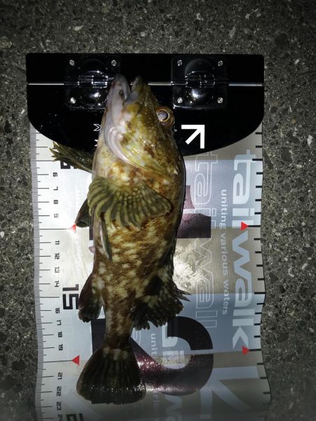 ロックフィッシュ