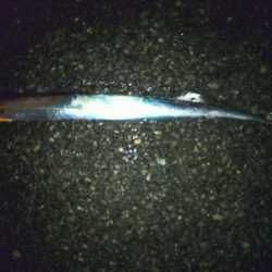 アタリは多いが…