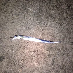 台風前の刀狩り