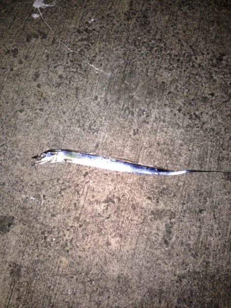 台風前の刀狩り