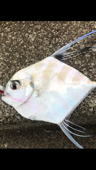 雨にも負けず( ´ ▽ ` )ﾉ