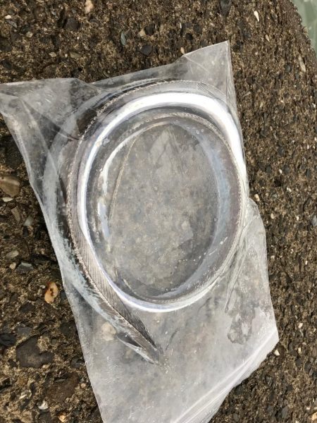 小雨の中でタチウオ