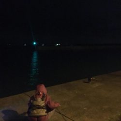 ガシラに会えて良かった