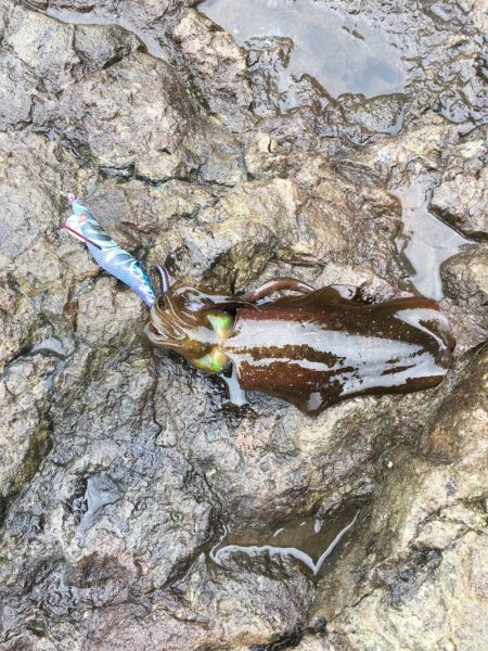 パラダイスを求めて