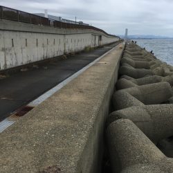 1ヒット1キャッチ う〜ん、渋かった