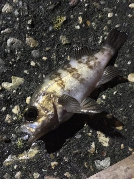 爆風ライトゲーム