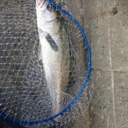 台風明けの朝練