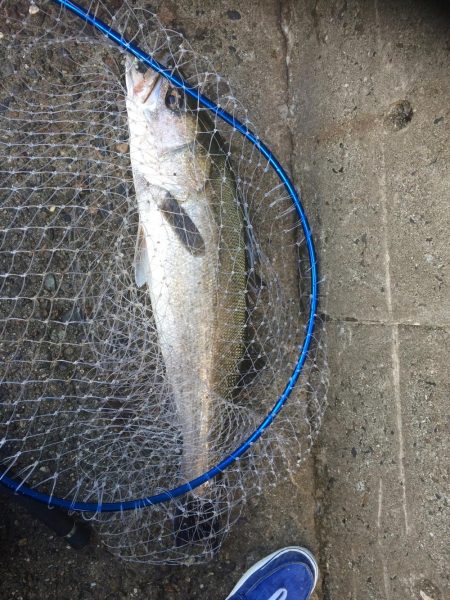 台風明けの朝練