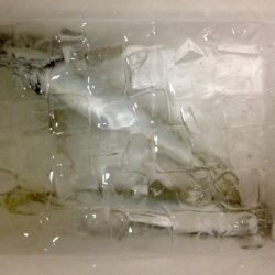 サイズは満足も