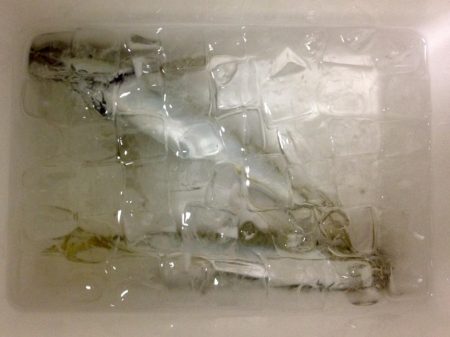 サイズは満足も