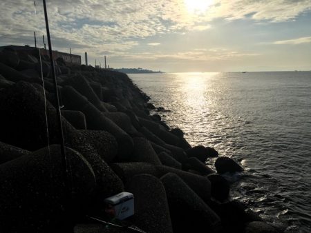 朝マズメにハマチ