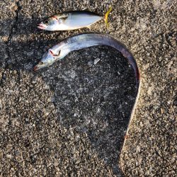 芦屋浜にて朝練