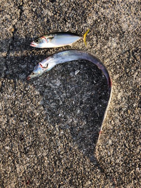 芦屋浜にて朝練