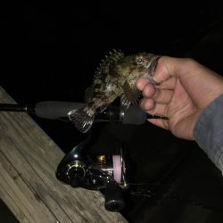 日に日に寒くなる