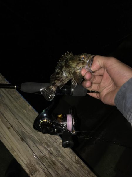 日に日に寒くなる