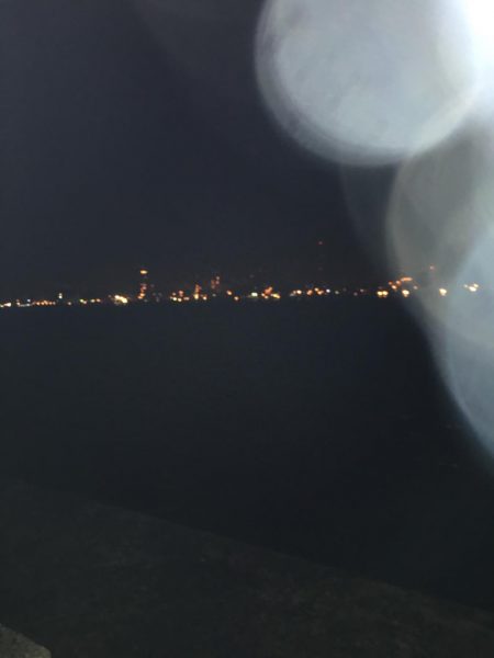 タチウオは何処へ、、、