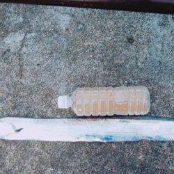 金曜日の仕事終わりの日課！