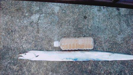 金曜日の仕事終わりの日課！