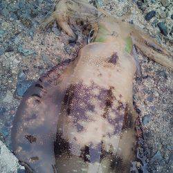 なんか～雨多いな～！