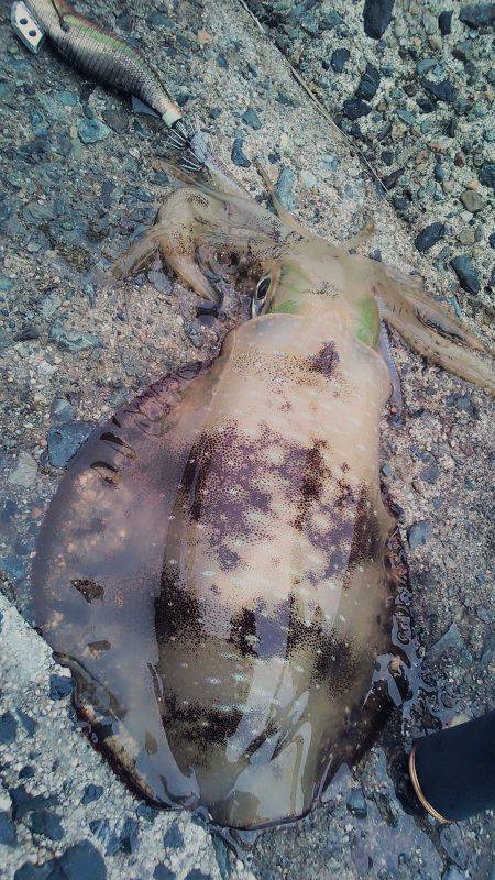 なんか～雨多いな～！