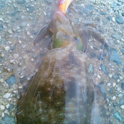 最後の最後でやっと･・！