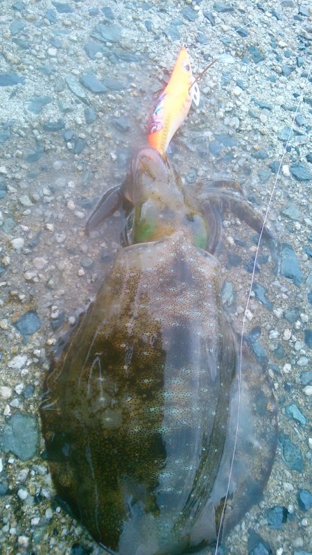 最後の最後でやっと･・！