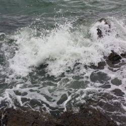 大雨高波爆風の中