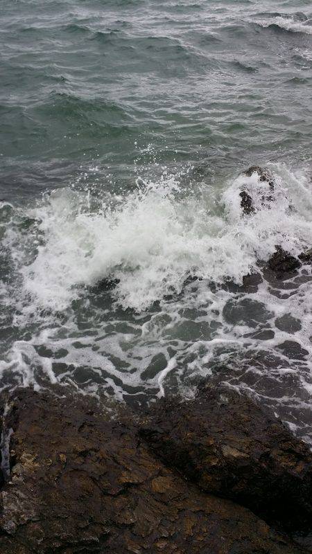 大雨高波爆風の中