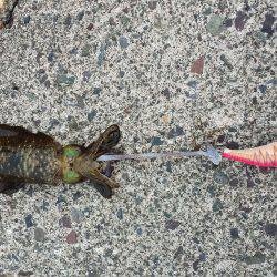 まだ海の状況良くなかった(-_-;)