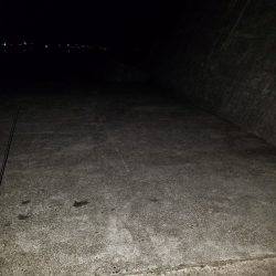 今年はじめての秋イカ