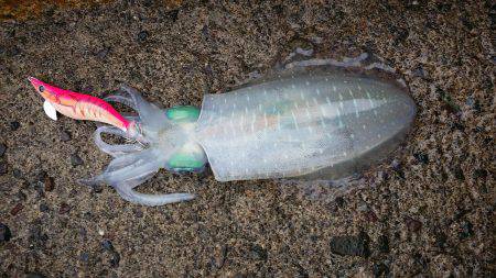 どしゃ降りの雨の中