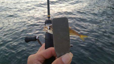 清掃活動に参加