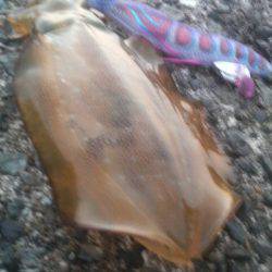 どこにお出かけですか?