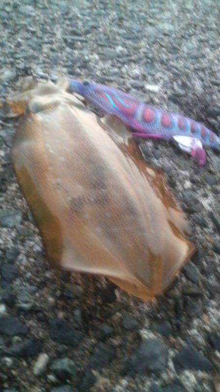 どこにお出かけですか?