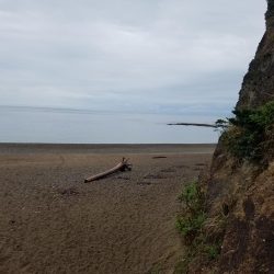 シャクリすぎで腕つった(–;)でも釣れた